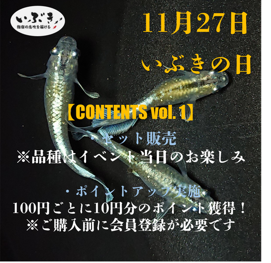 【告知】11月27日は『いぶきの日』