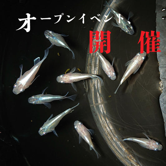 店舗オープンイベント