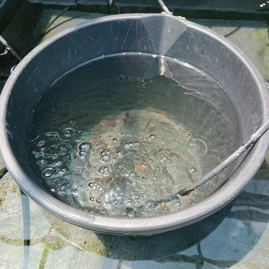 ねえ 広いブルー・スカイ見上げていると 勇気が 湧かないか