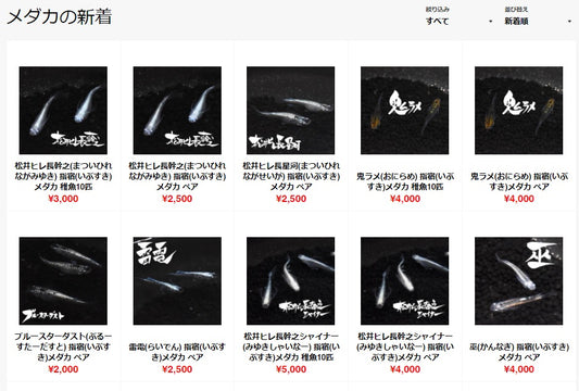 ☆新品種☆販売開始☆
