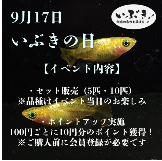 【告知】9月17日は『いぶきの日』