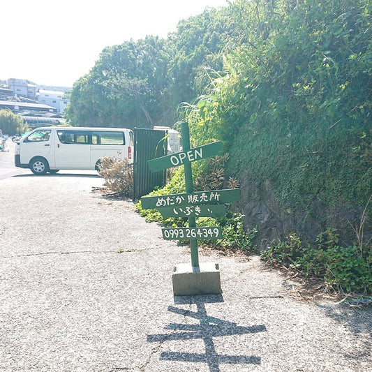 GW中ずっとOPENしてます