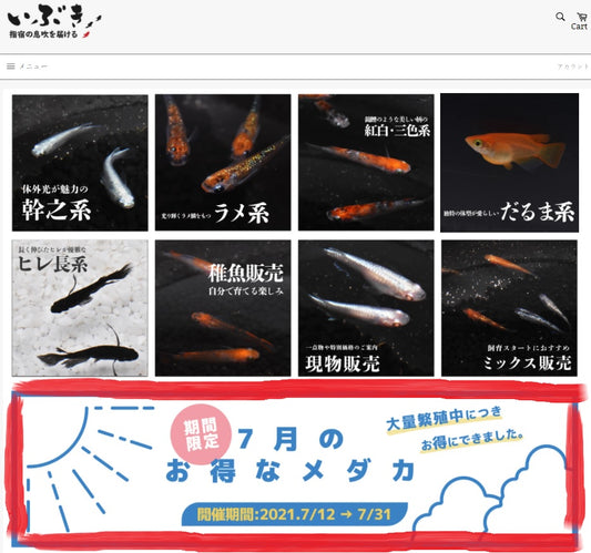 【新企画】 月間特価販売開始