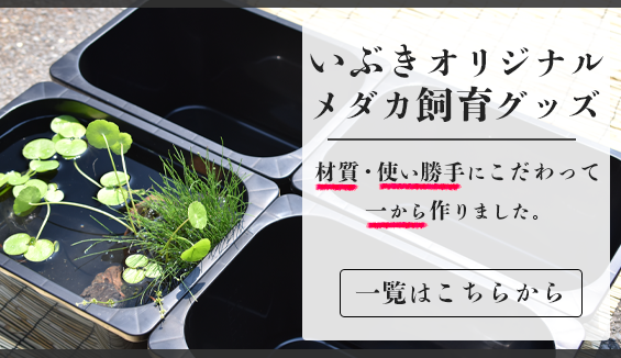 アクアリウム用品の新着