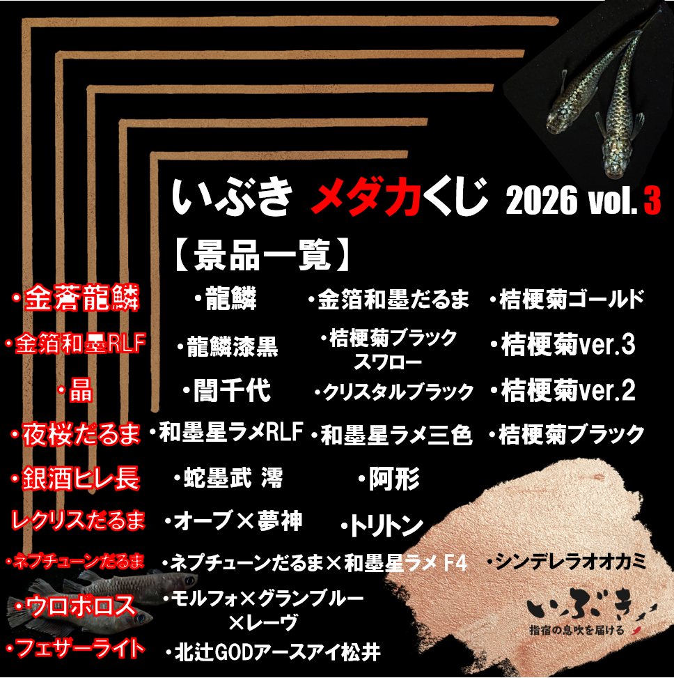 いぶきメダカくじ 2026 第三弾 ※7月15日以降発送 4336