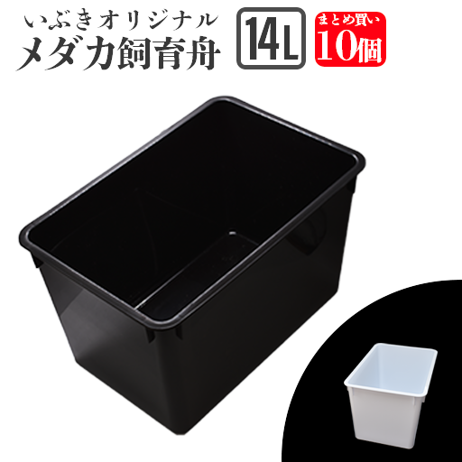 メダカ容器 黒容器 20リットル10個 - 魚用品/水草