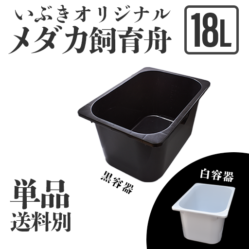 黒再入荷】【単品・送料別】メダカ舟 黒容器・白容器 18L – いぶき | 指宿メダカとミジンコの通信販売