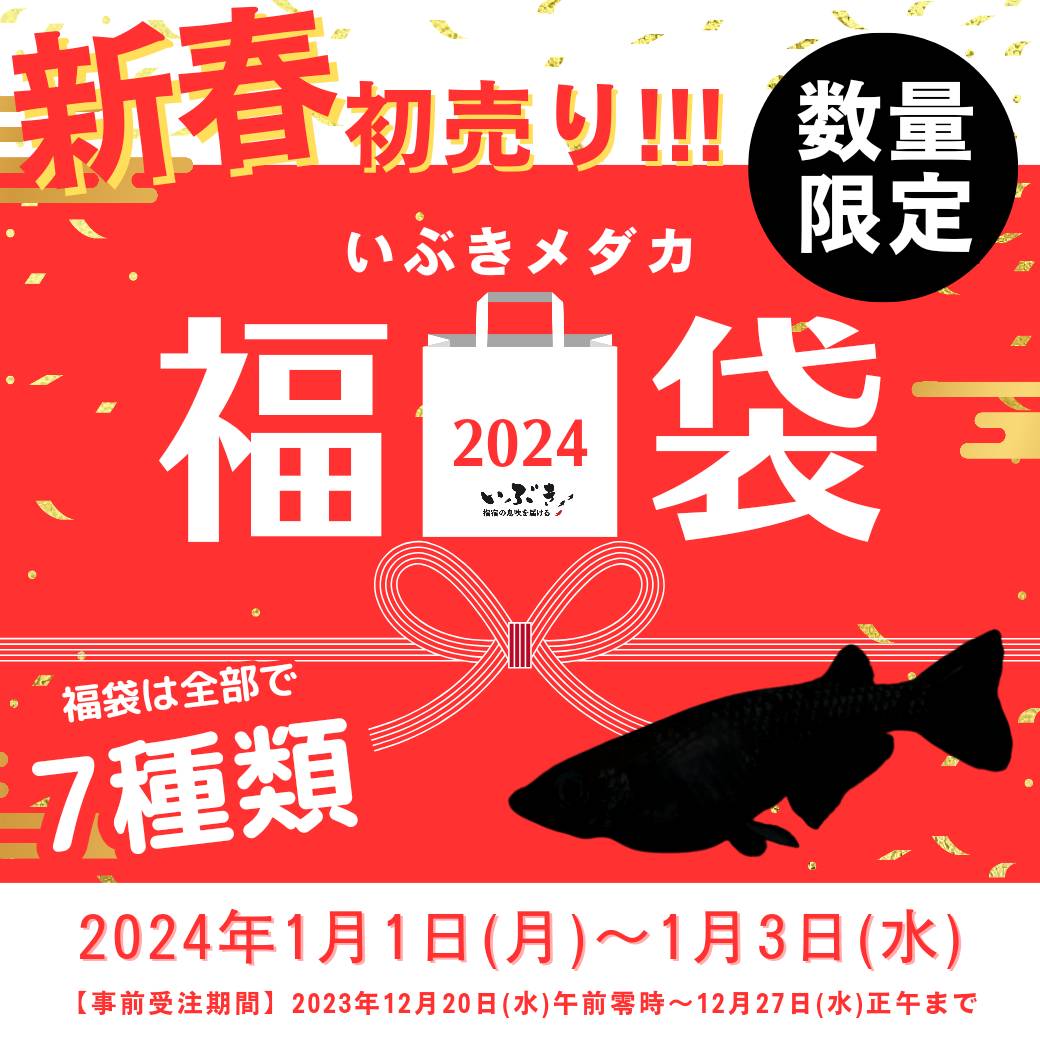 【告知】2024年いぶき新春初売り