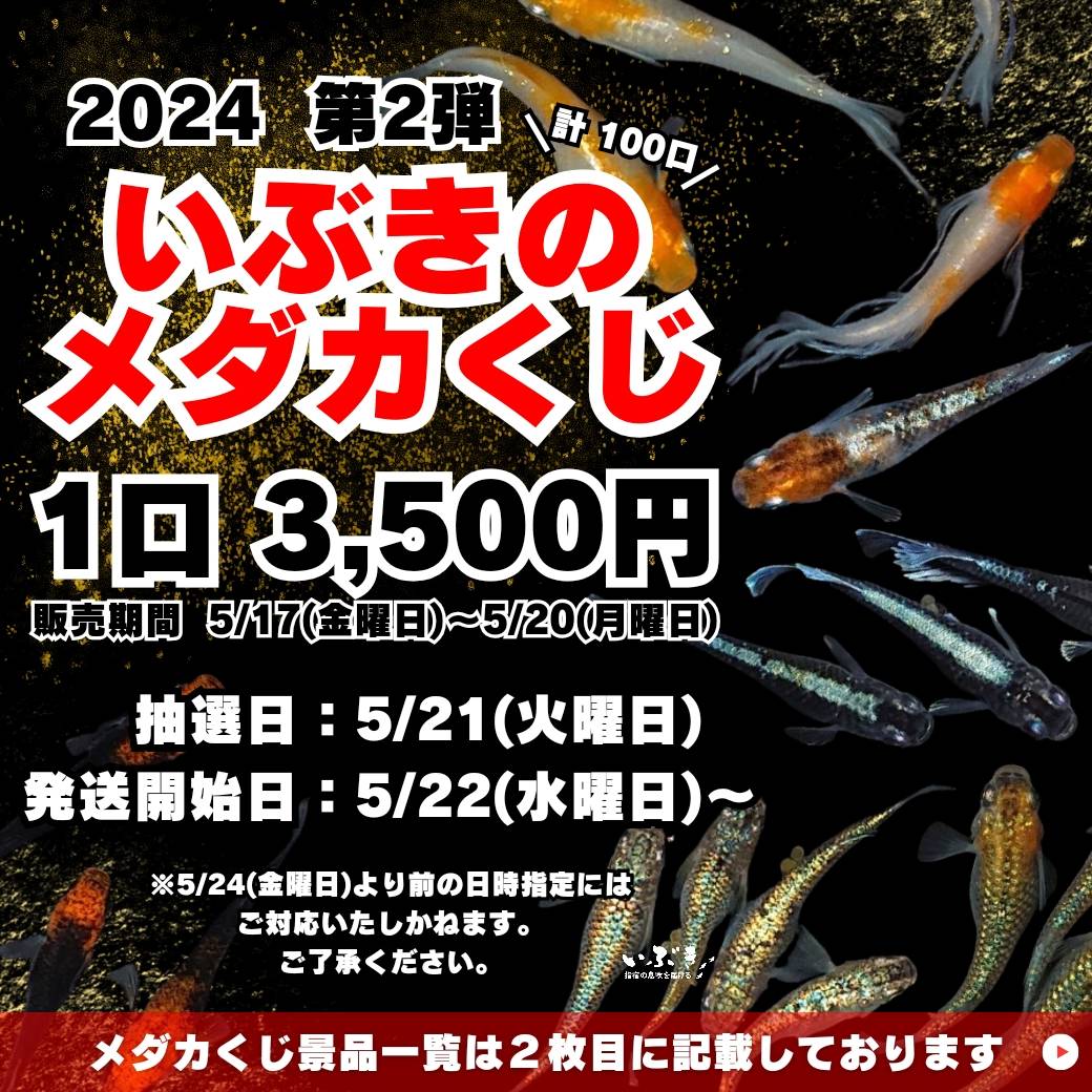 ニュース – いぶき | 指宿メダカとミジンコの通信販売