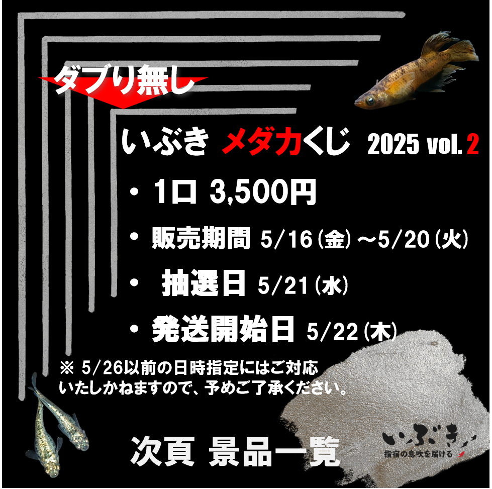 【告知】いぶき メダカくじ　2025　第二弾