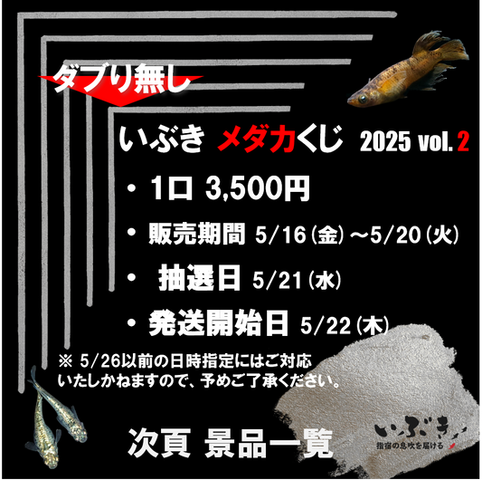 【告知】いぶき メダカくじ　2025　第二弾