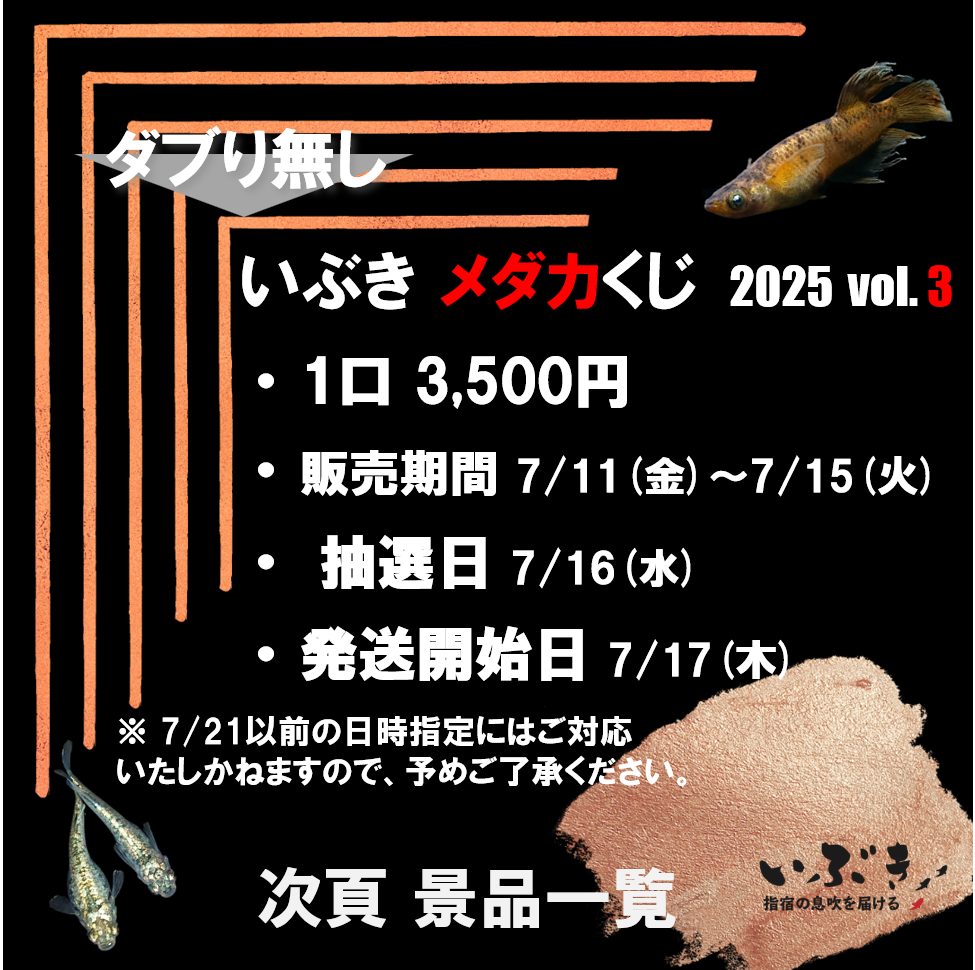 【告知】いぶき メダカくじ　2025　第三弾