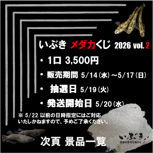 【告知】いぶき メダカくじ　2026　第二弾