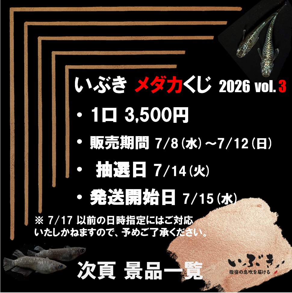 【告知】いぶき メダカくじ　2026　第三弾