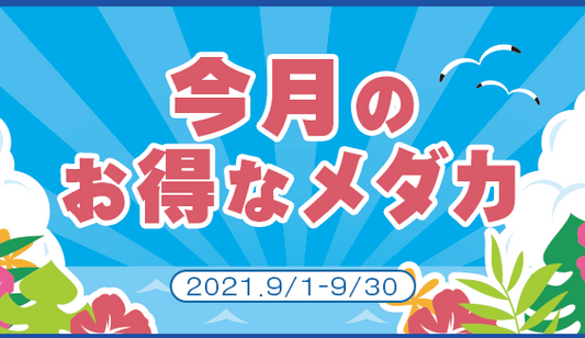 9月月間特価メダカのお知らせ