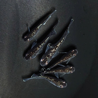 【現物】ミッドナイトフリル ラメtype　3ペア　3862