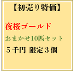 【現物】【初売り特価】夜桜ゴールドおまかせ10匹セット　0317