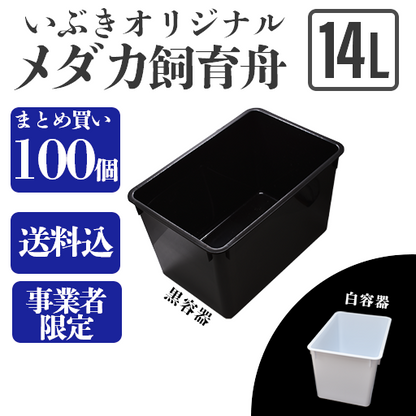 メダカ容器 4個 セパレートタイプ メダカ容器 4個 セパレートタイプ メダカ容器 4個 セパレートタイプ メダカ容器 4個 セパレートタイプ