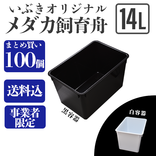 【送料込】メダカ舟 黒容器・白容器 14L 100個 ※事業者限定